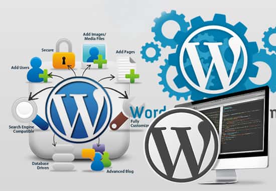 học thiết kế website bằng wordpress